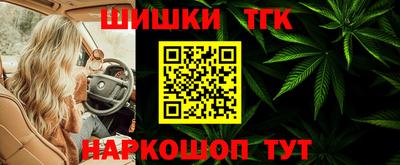 сатива Краснознаменск