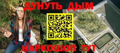 сатива Краснознаменск