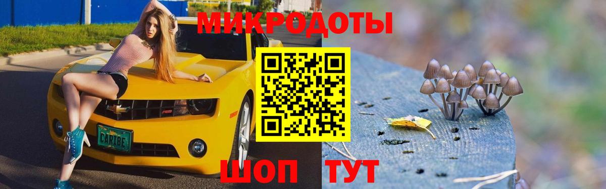 Галлюциногенные грибы Psilocybine cubensis Иваново